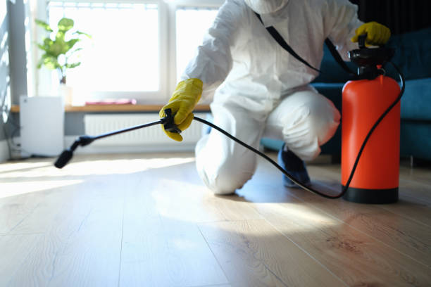 Trusted Sewage Cleanup service in Decatur, MI - Four Month Blood Cleanse